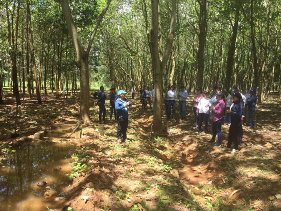 tratamiento de aguas